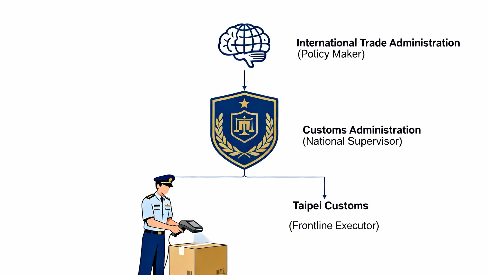 「財政部關務署、台北關、國貿局」一篇搞懂!最新進出口通關、廠商登記指南 一張圖解釋國際貿易署、關務署與台北關的層級與職責關係圖。