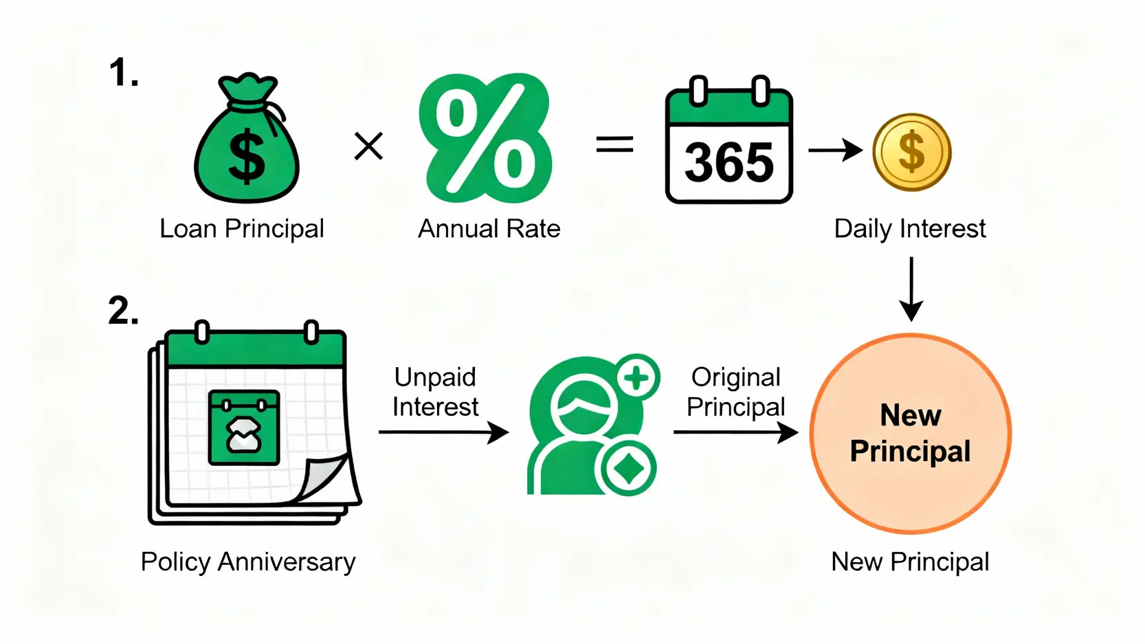 保單借款利息高嗎?最新利率、試算、還款方式全攻略 一張流程圖,解釋保單借款利息的計算方式,包含每日利息的計算以及年度利息滾入本金的複利過程。