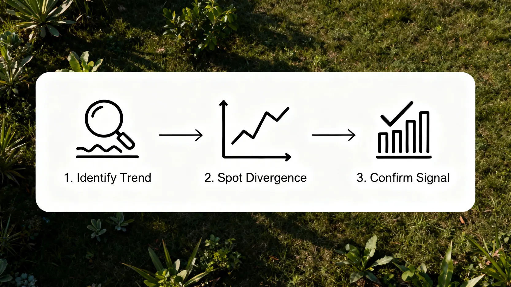 MACD背離全攻略:從頂背離、底背離到3步驟選股策略(圖解教學) MACD背離選股策略的三步驟流程圖,包含第一步鎖定趨勢、第二步識別背離、第三步多重確認。