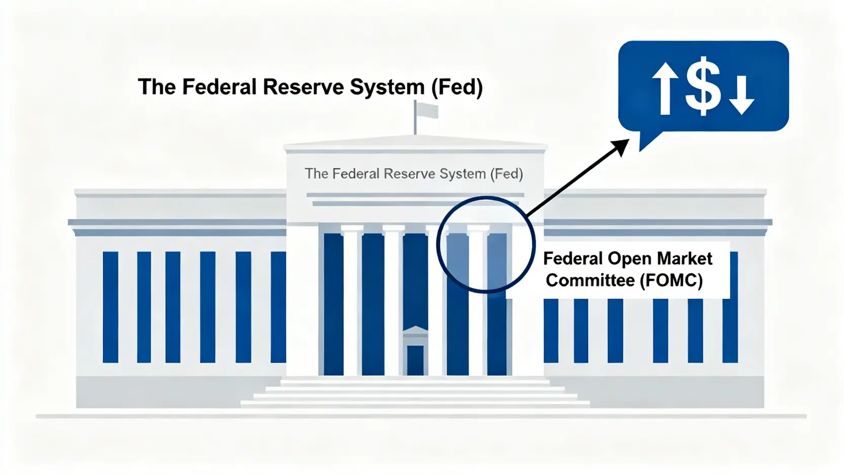 Fed會議時間2026總整理:一文看懂FOMC會議日程、利率決議與市場影響 一張解釋美國聯準會(Fed)與聯邦公開市場委員會(FOMC)關係的示意圖,顯示FOMC是Fed內部的利率決策核心單位。
