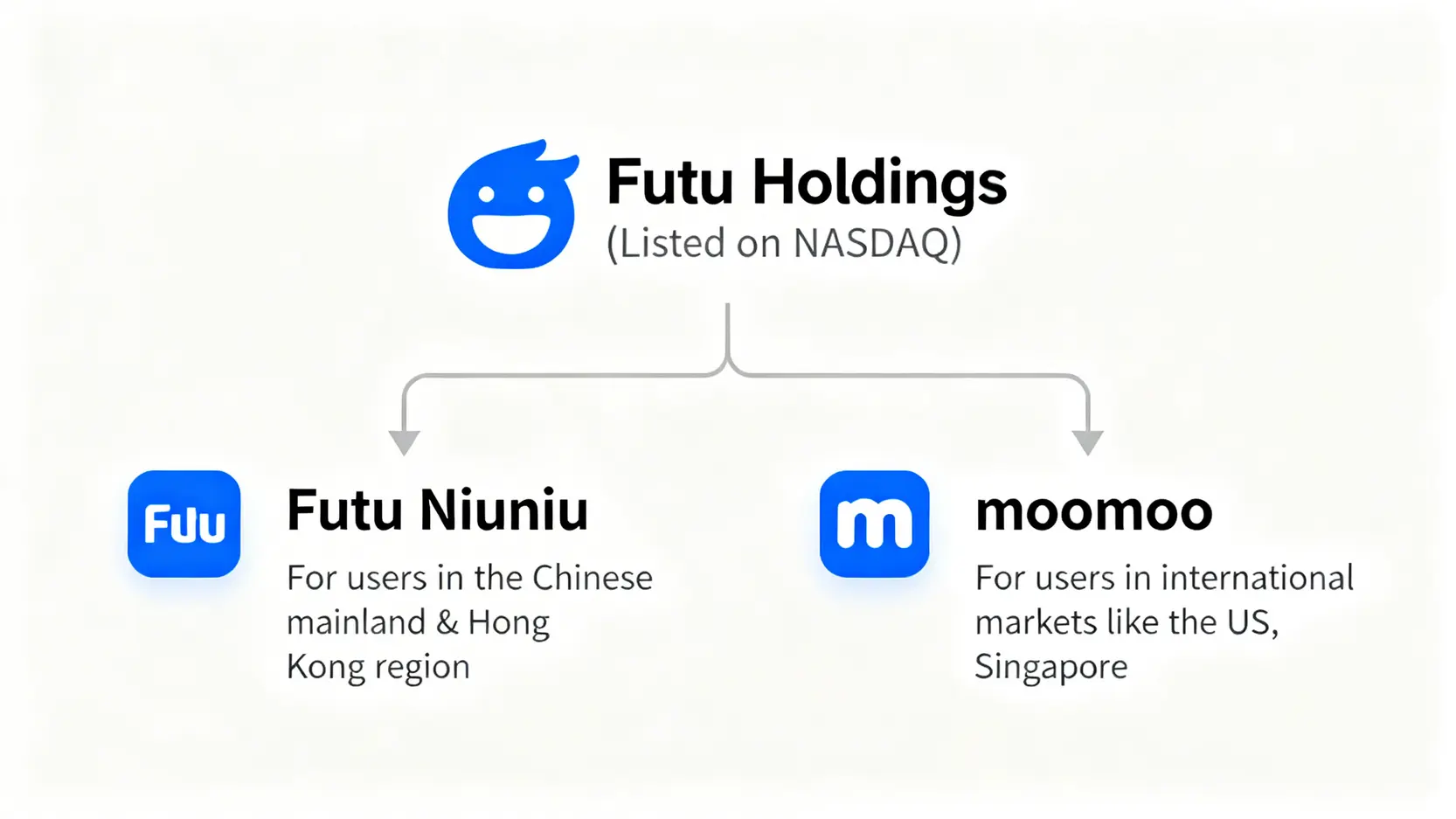 【2026 富途moomoo評價】安全嗎?一篇看懂開戶、手續費、優缺點全攻略 富途控股旗下富途moomoo與富途牛牛的關係圖,說明兩者分別服務國際市場與中國大陸市場。